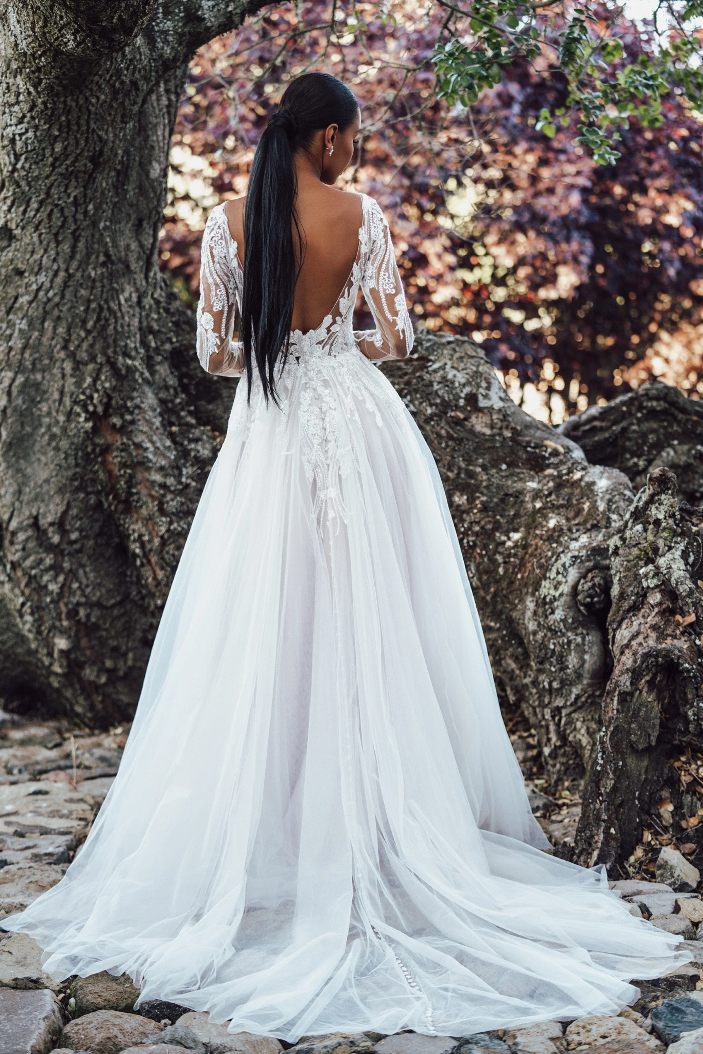 Allure 3600 - Size 14 - Image 2