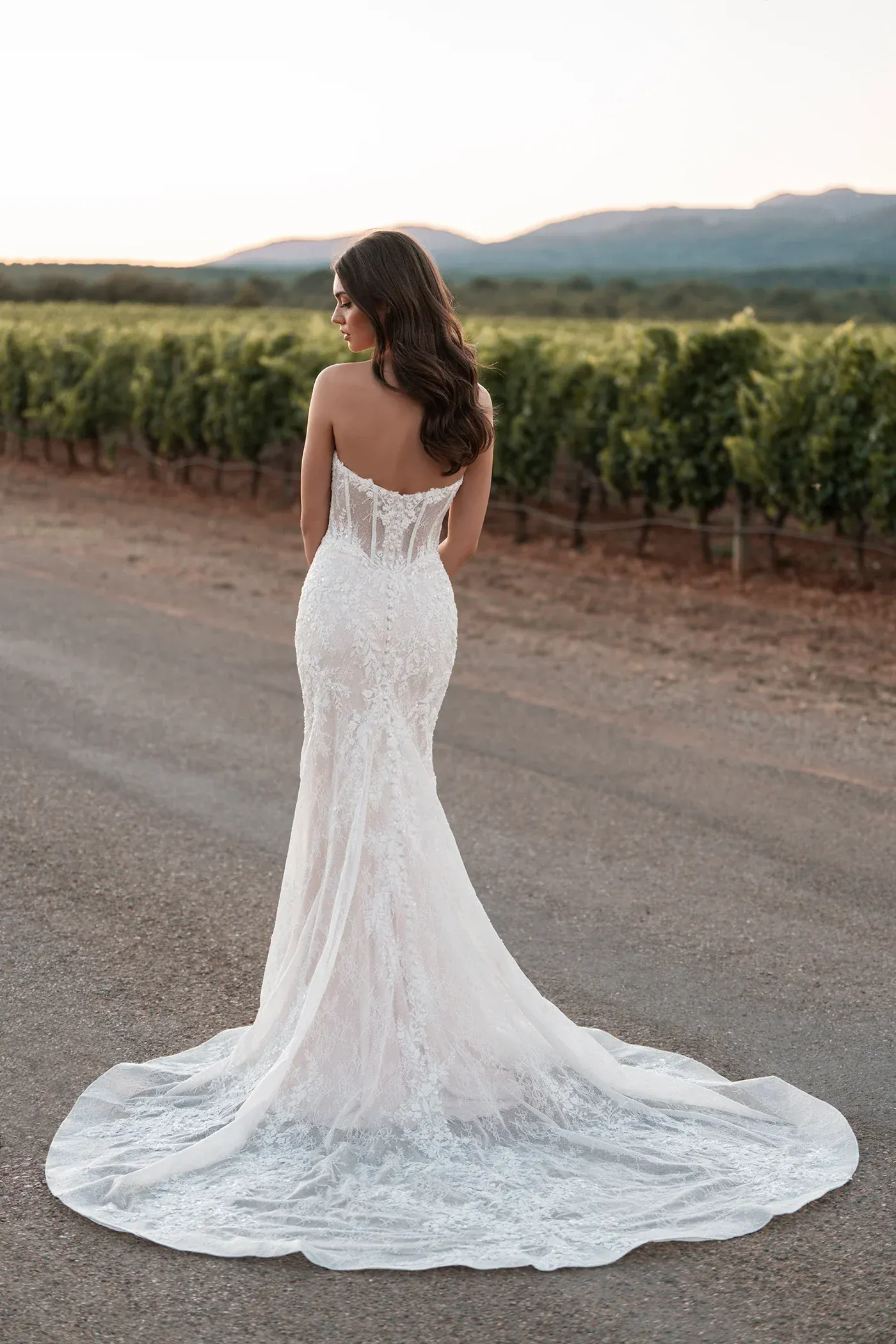 Allure A1310L - Size 24 - Image 2