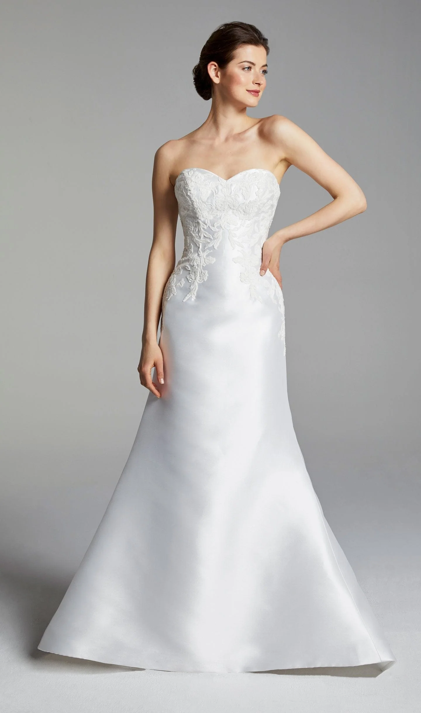 Blue Willow by Anne Barge Bianca + Overskirt - Size 14 - Image 2