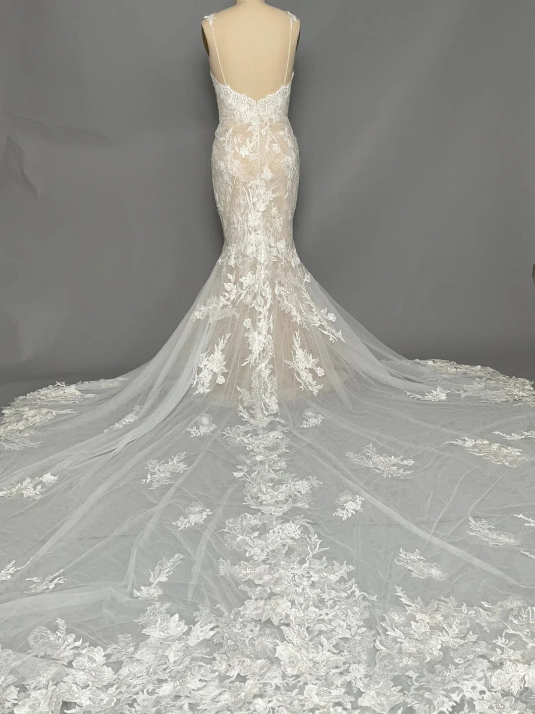 Calla Blanche Antonella - Size 12 - Image 4