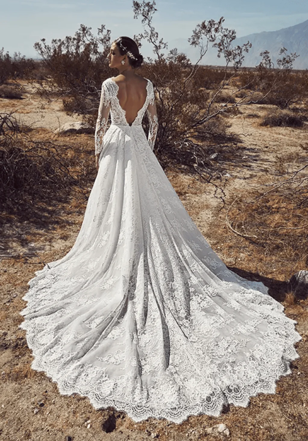 Calla Blanche Raven - Size 8 - Image 2