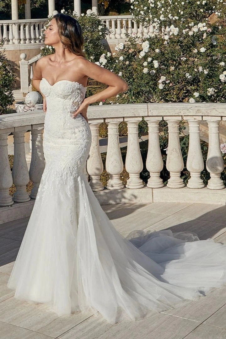 Casablanca 2454 - Size 12