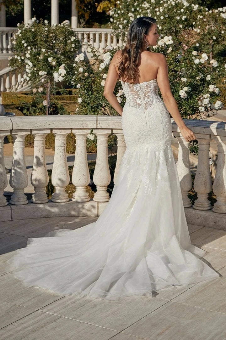 Casablanca 2454 - Size 12 - Image 2