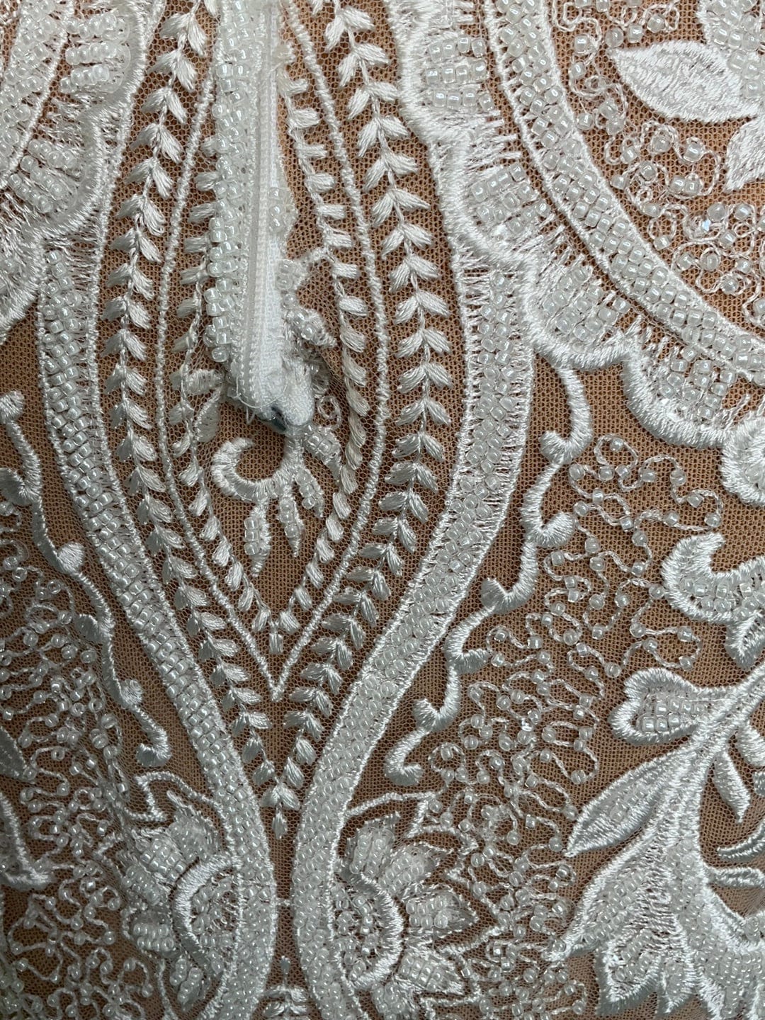 Naama and Anat Orchid- Size 6 - Image 10