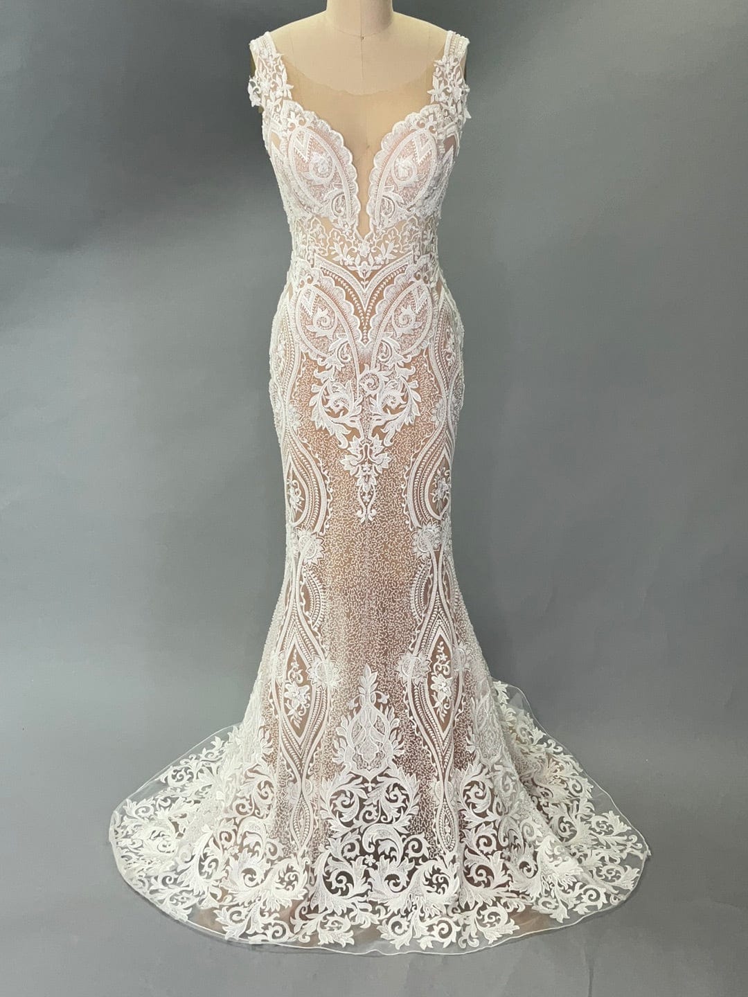 Naama and Anat Orchid- Size 6 - Image 3