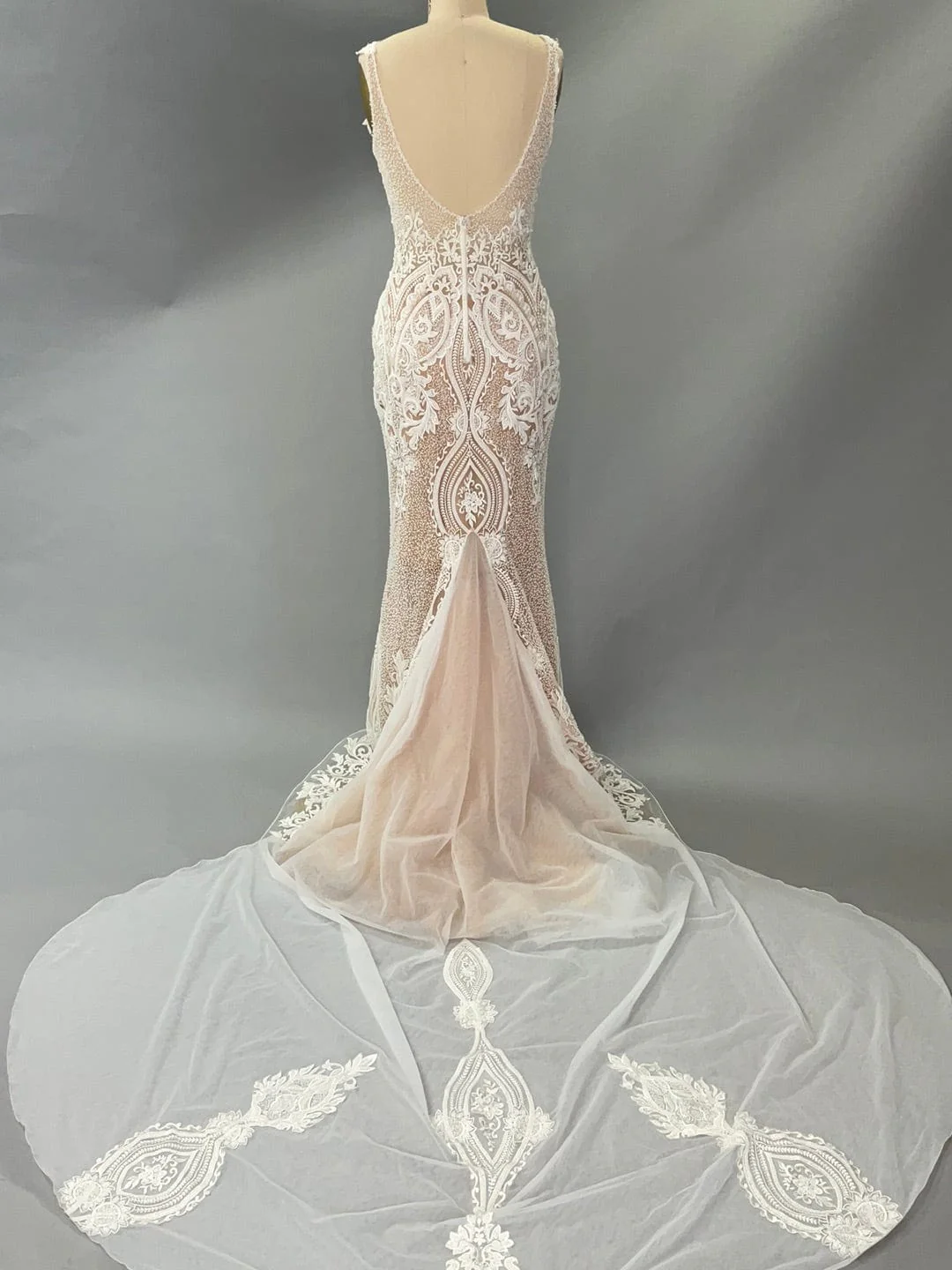 Naama and Anat Orchid- Size 6 - Image 4