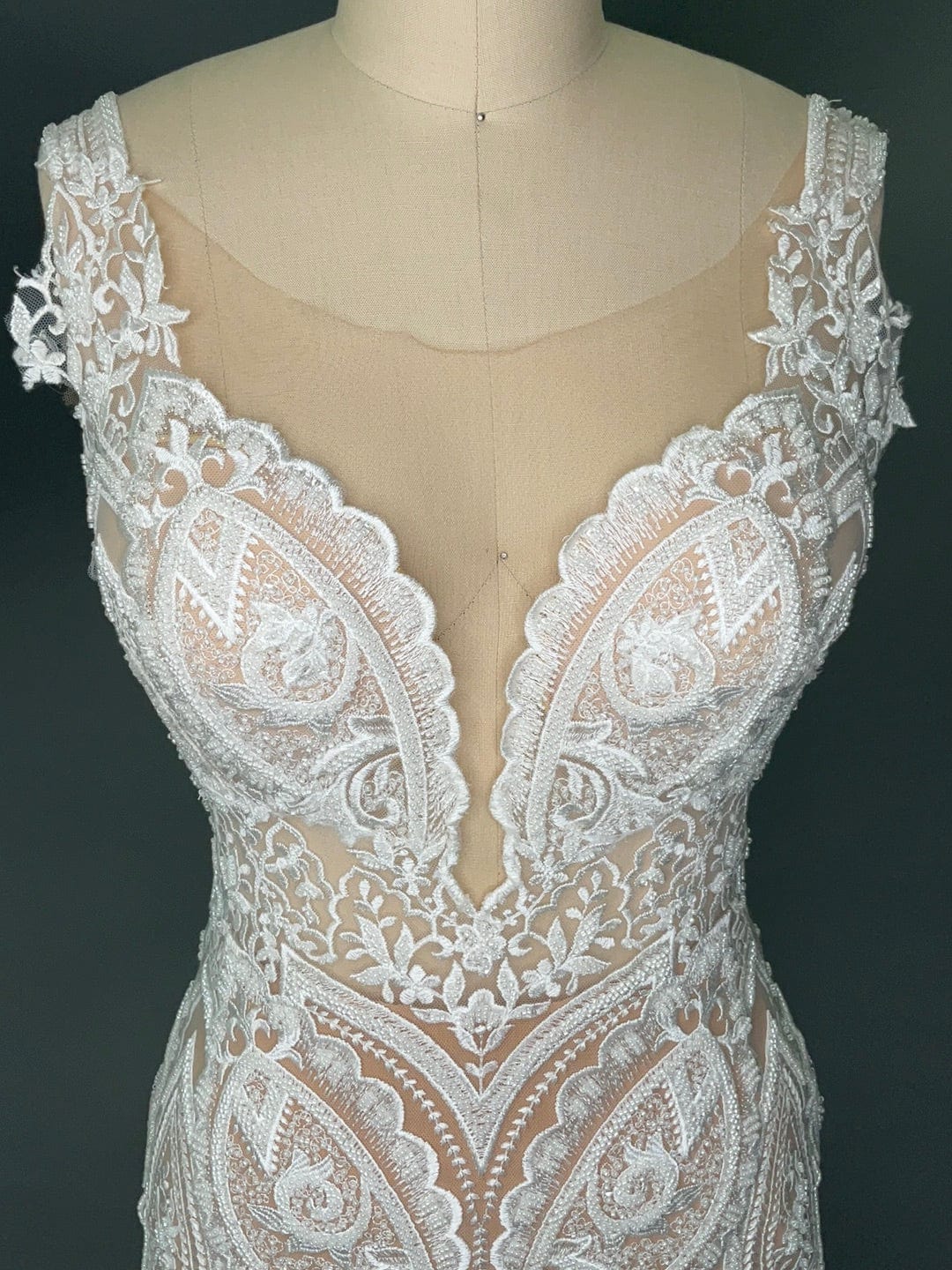 Naama and Anat Orchid- Size 6 - Image 5