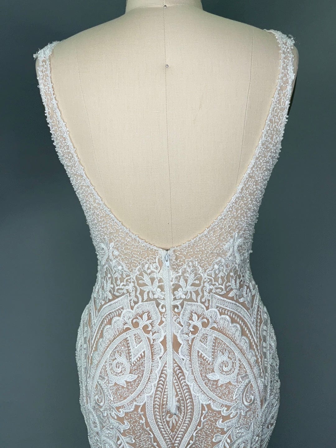 Naama and Anat Orchid- Size 6 - Image 6