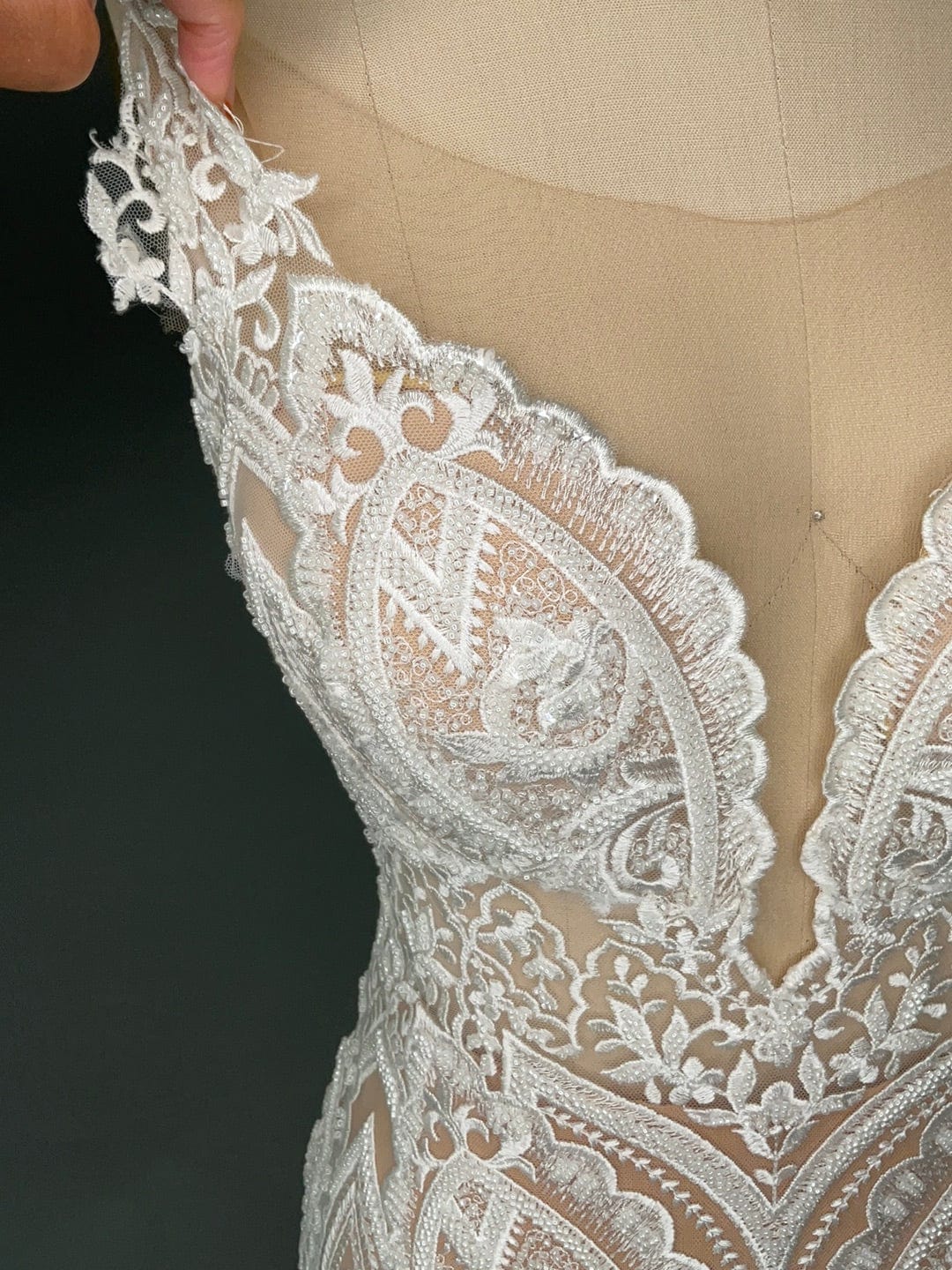 Naama and Anat Orchid- Size 6 - Image 7
