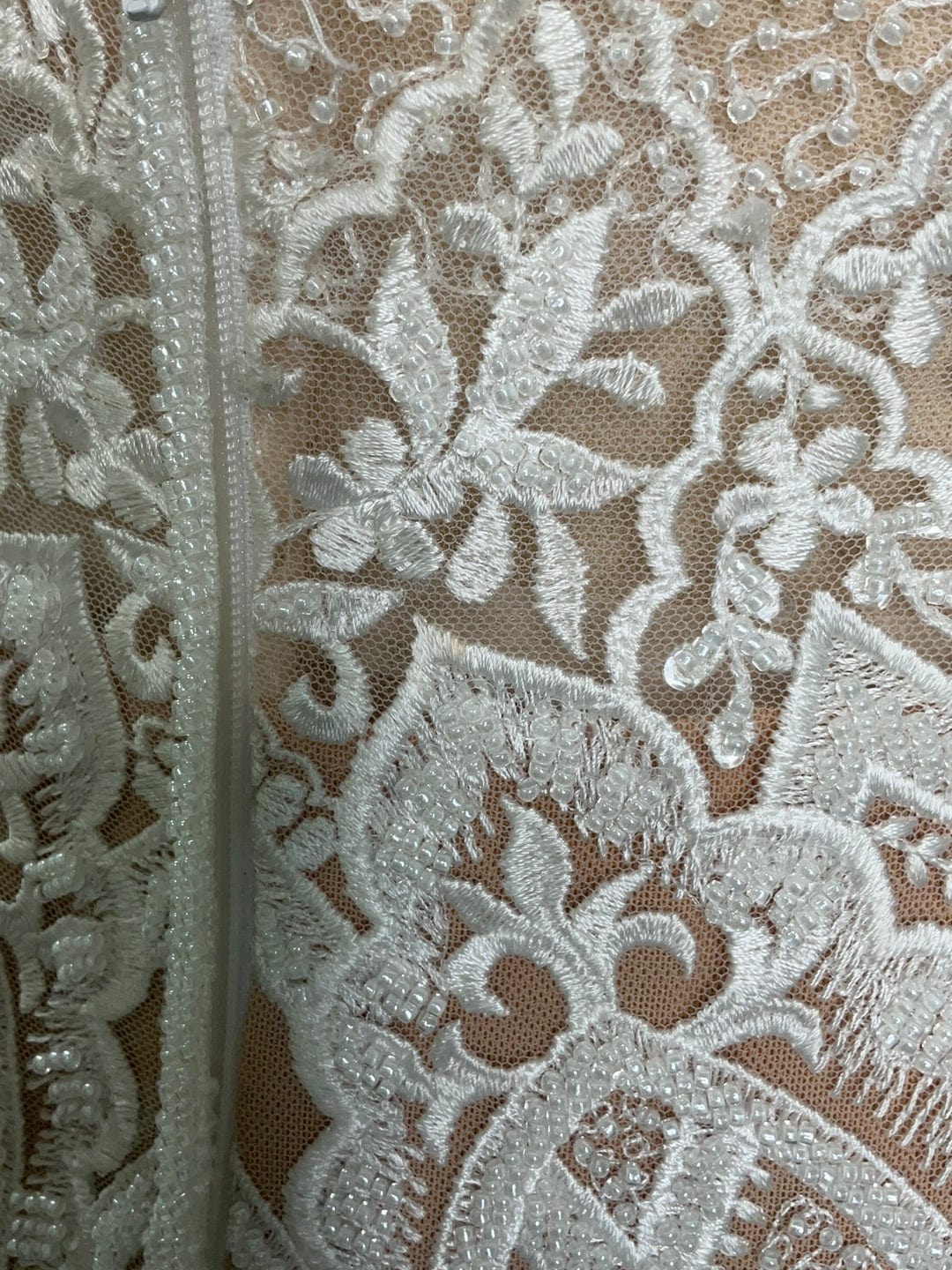 Naama and Anat Orchid- Size 6 - Image 9
