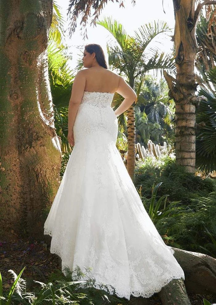 Pronovias Fingal - Size 22 - Image 3