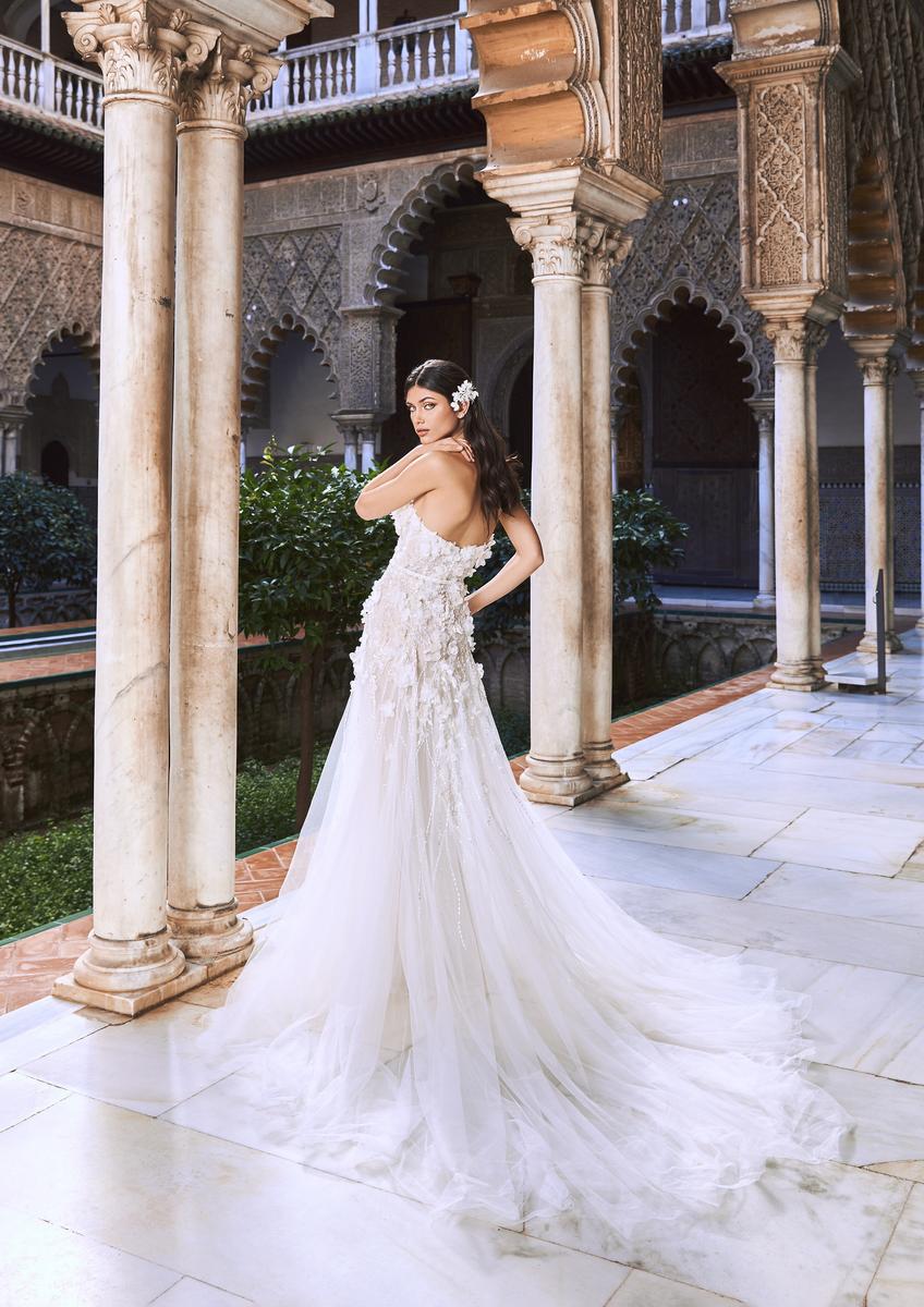 Pronovias Jerez + Cape - Size 12 - Image 4