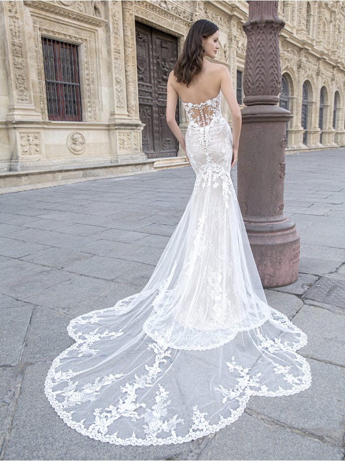 Étoile Celeste - Size 10 - Image 2