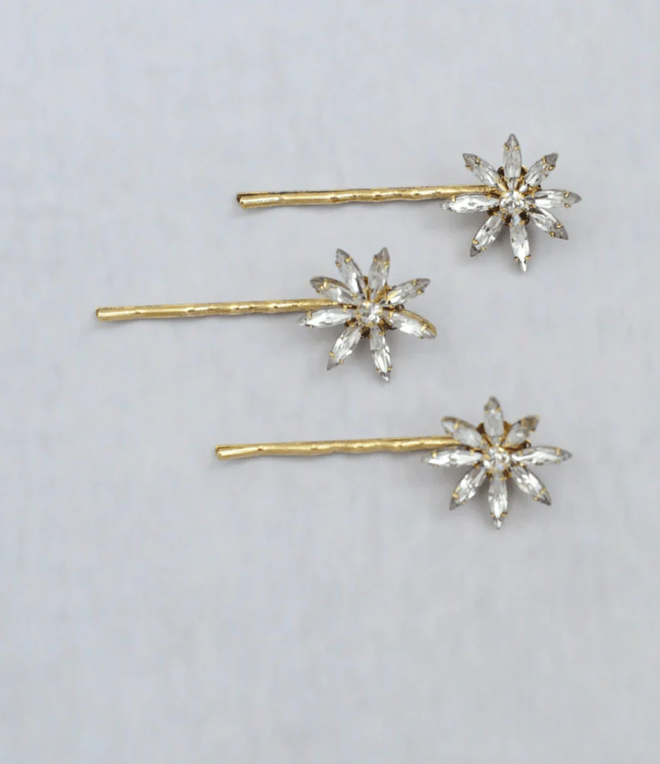 Twigs & Honey 660 Hair Pins - Image 3